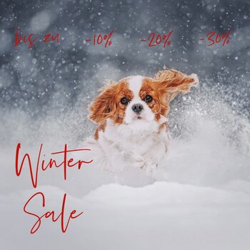 Winter Sale