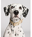 Buddys Dogwear - Hundehalsband Sir Chuck - Beige