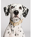 Hundehalsband Sir Chuck - Beige - Größe S / 26 - 32 x 2,5cm