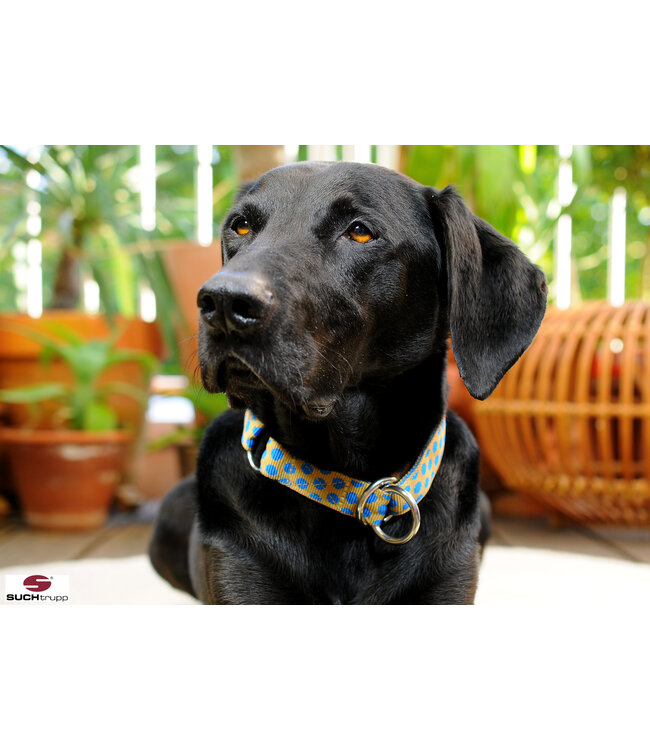 Suchtrupp -  Zugstopp Halsband Dots Beige-Royalblue