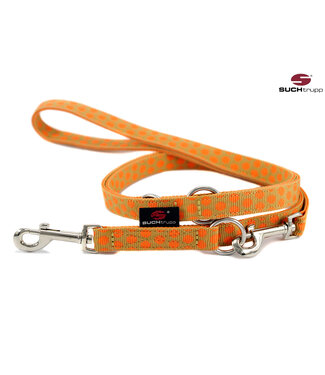 Suchtrupp -  Hundeleine Beige-Orange-Silver