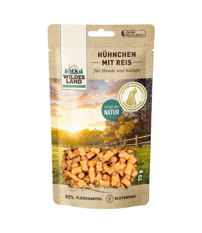 Hühnchen mit Reis