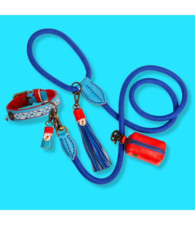 Dog with a Mission - Hippie Hundehalsband  Dutchie