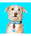 Dog with a Mission - Hippie Hundehalsband  Dutchie
