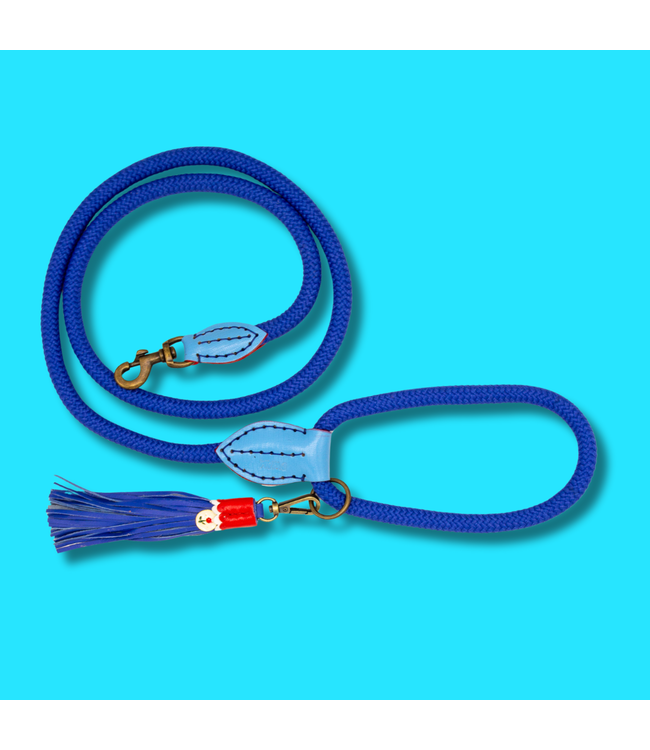 Dog with a Mission - Hundeleine Dutchie