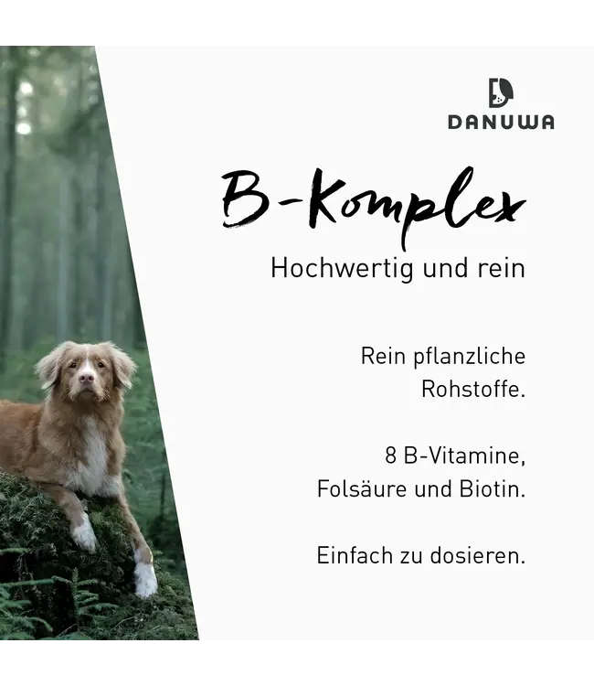 Danuwa - Buchweizenkeimpulver B-Komplex 100g