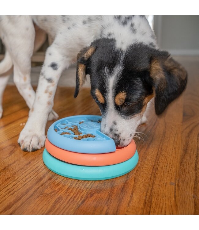 Nina Ottosson - Intelligenzspielzeug Puppy Lickin' Layers - Level 2