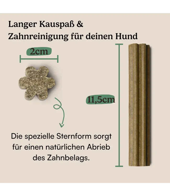 Hunderunde -  Dental Sticks Zahnfee - 105g