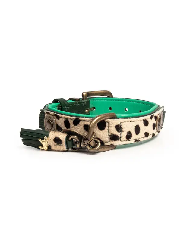 Dog with a Mission - Hippie Hundehalsband Ivy - NEW DESIGN