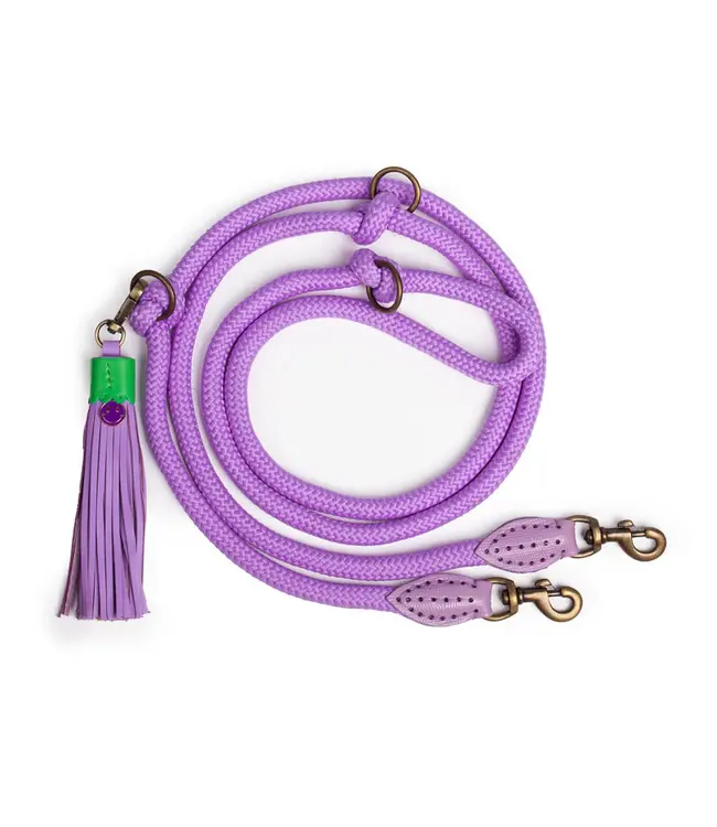 Dog with a Mission - Hundeleine Purple Rain Extra Long