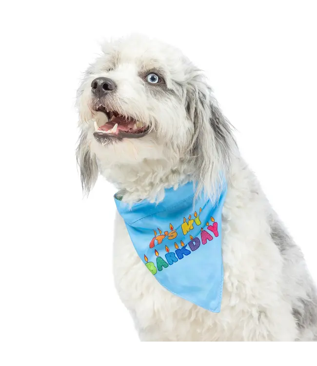 Bandana Party Time  2.0