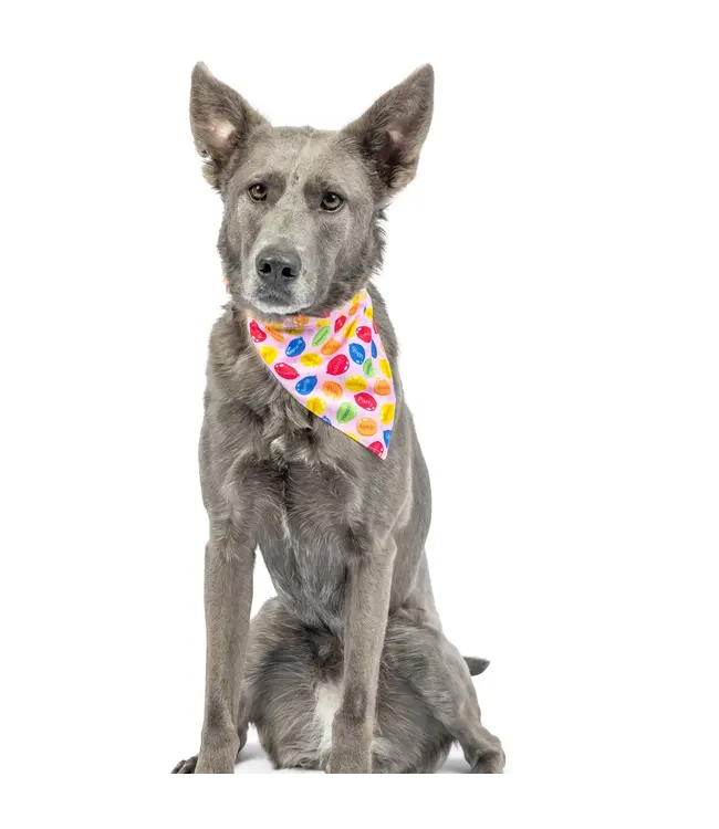 Bandana Party Time  2.0