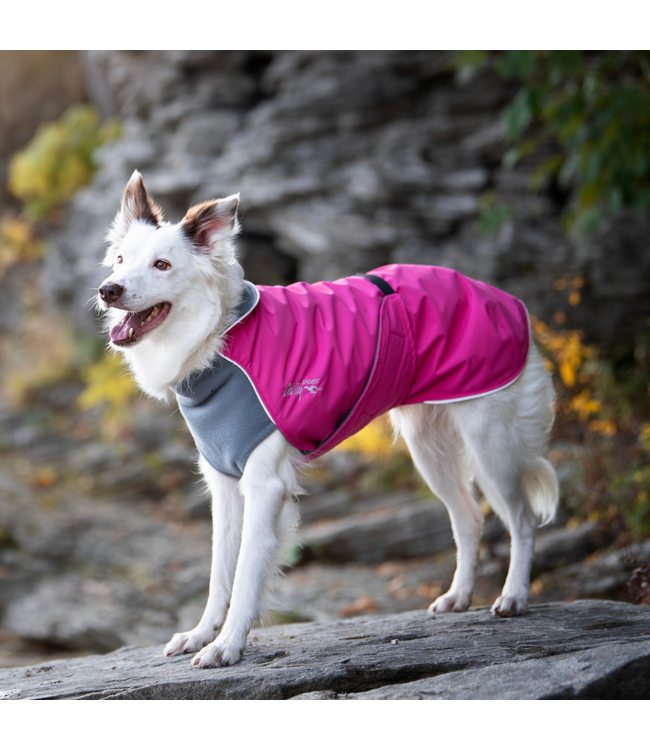 Chilly Dogs - Hundemantel Alpine Blazer - lang und schlank