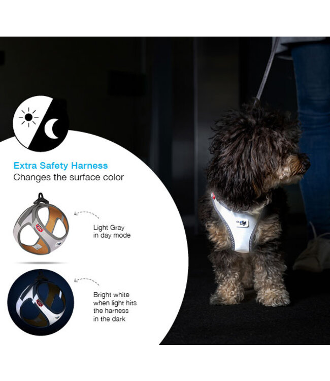 Curli - Hundegeschirr Clasp Glow