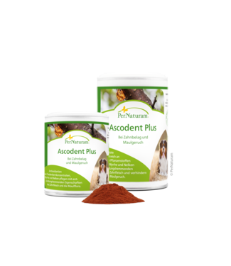 Pernaturam - Ascodent Plus - MHD 7/26