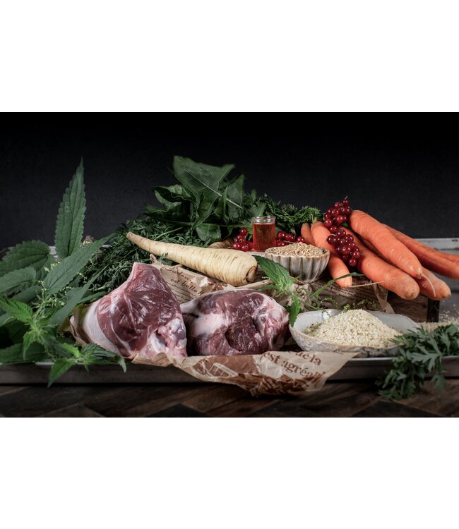 Paul & Paulina - Hundefutter Weidelamm mit Hirse und Pastinake