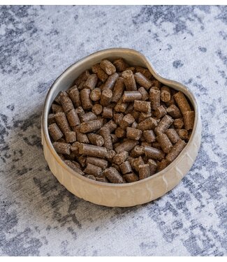 Paul & Paulina - Hundefutter Lamm mit Hirse und Pastinake