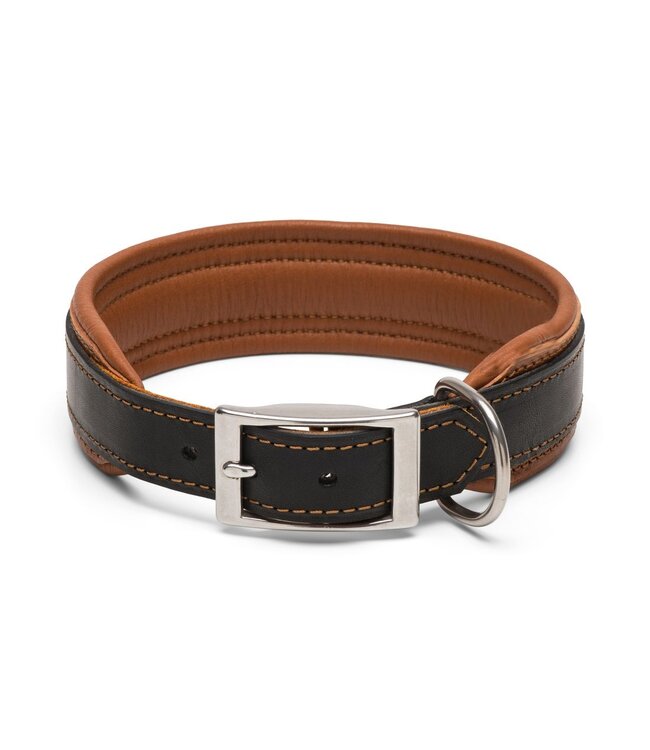 Hillbury - Hundehalsband Rhodesian Ridgeback