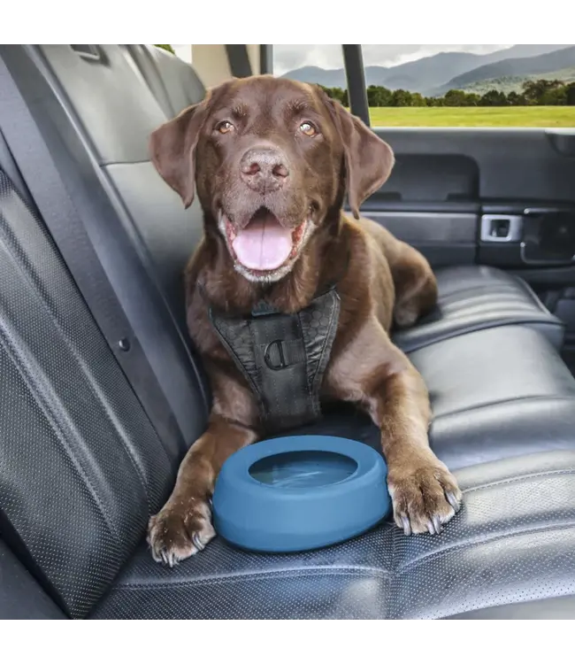 Kurgo - Spritzfreier Wander-Wassernapf