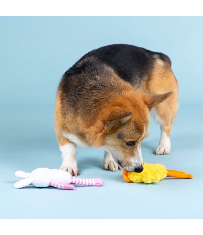 Pet Shop by Fringe Studio - Hundespielzeug Hoppy go Glucky