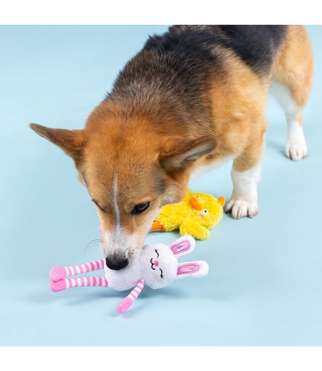 Pet Shop by Fringe Studio - Hundespielzeug Hoppy go Glucky