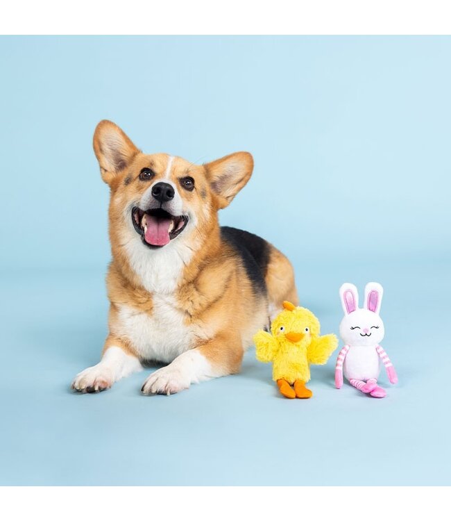 Pet Shop by Fringe Studio - Hundespielzeug Hoppy go Glucky