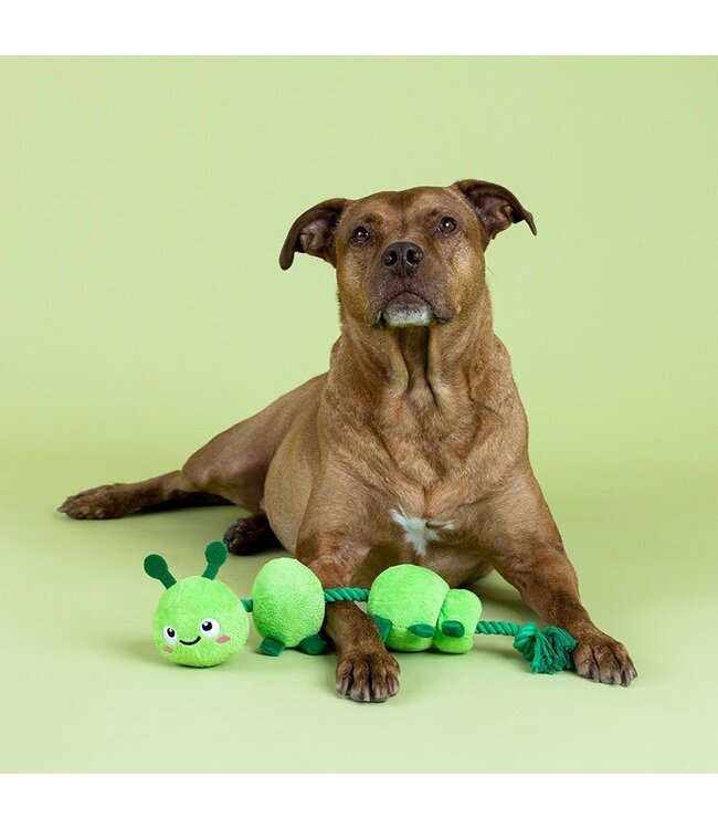 Pet Shop by Fringe Studio - Hundespielzeug Pillar Of Society