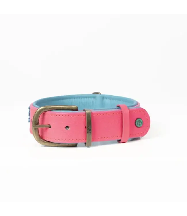 Dog with a Mission - Hippie Hundehalsband Indian Summer