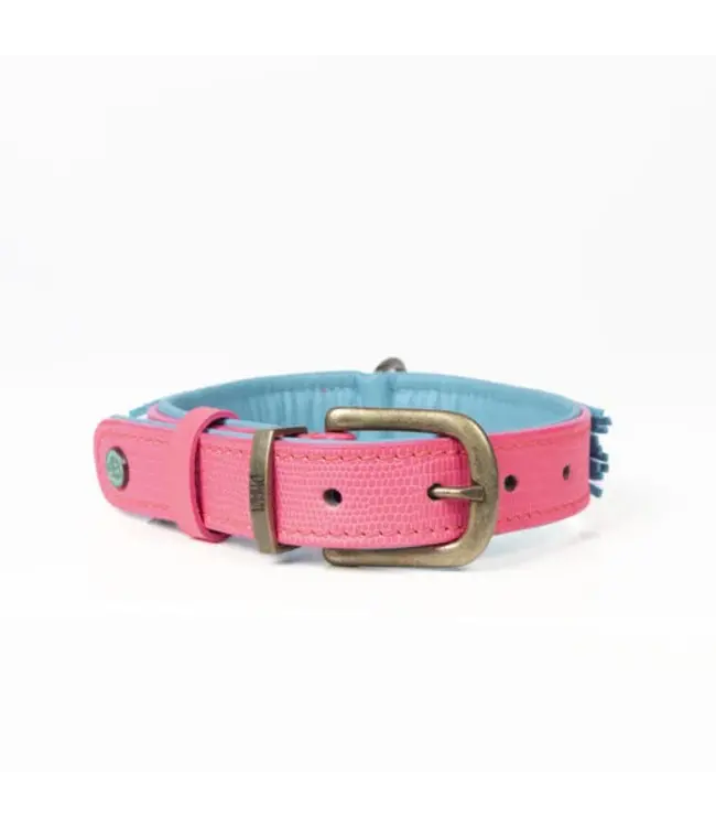 Dog with a Mission - Hippie Hundehalsband Indian Summer