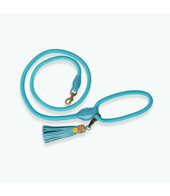 Dog with a Mission - Hundeleine Indian Summer