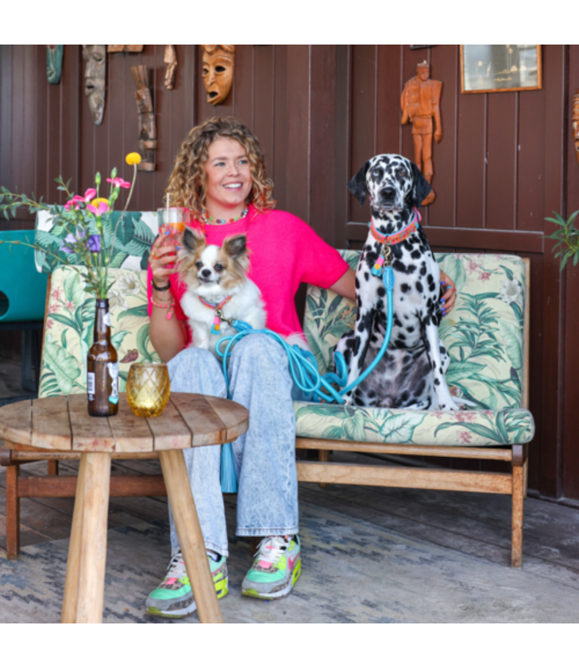 Dog with a Mission - Hundeleine Indian Summer