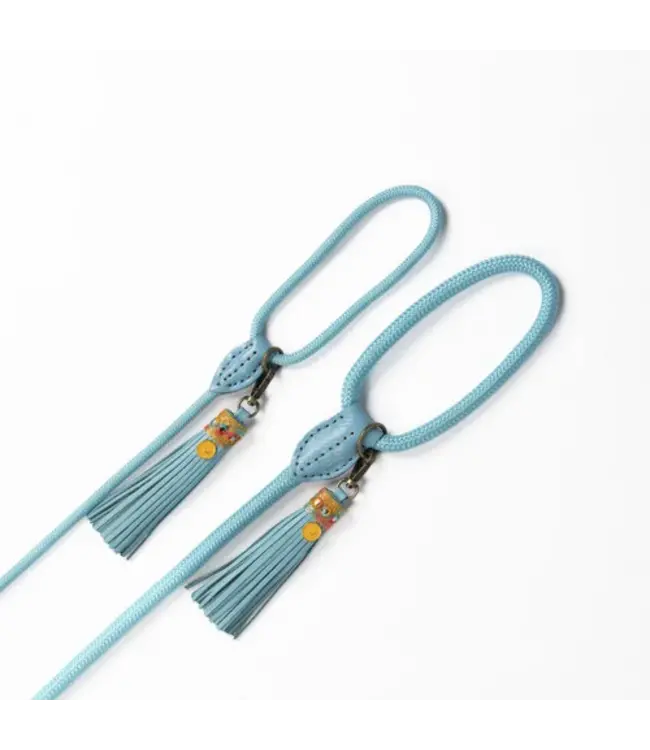 Dog with a Mission - Hundeleine Indian Summer