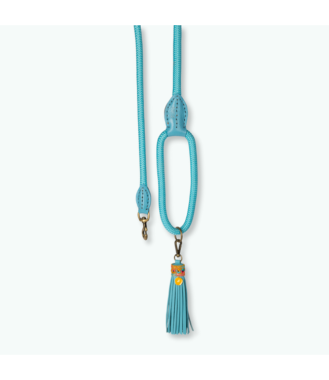 Dog with a Mission - Hundeleine Indian Summer