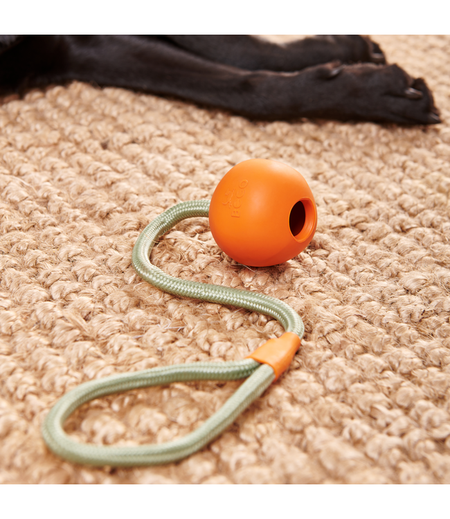 Beco Pet - Hundespielzeug Slinger Ball