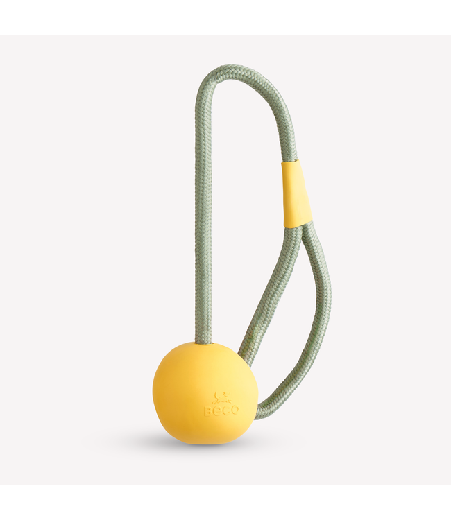 Beco Pet - Hundespielzeug Slinger Ball