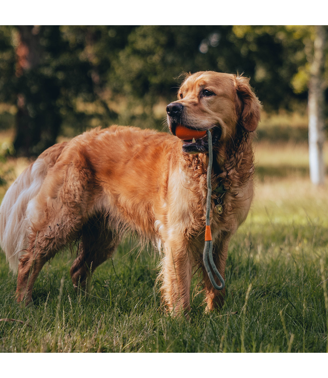 Beco Pet - Hundespielzeug Slinger Ball