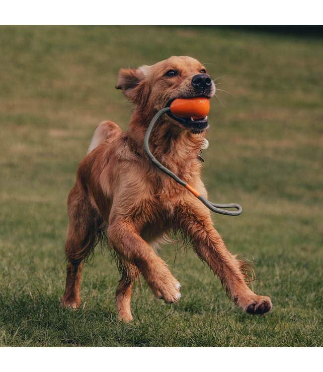 Beco Pet - Hundespielzeug Slinger Pebble