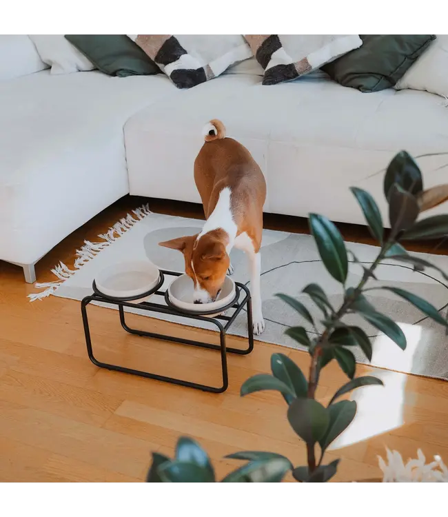 District 70 -  Futternapfständer BUTLER