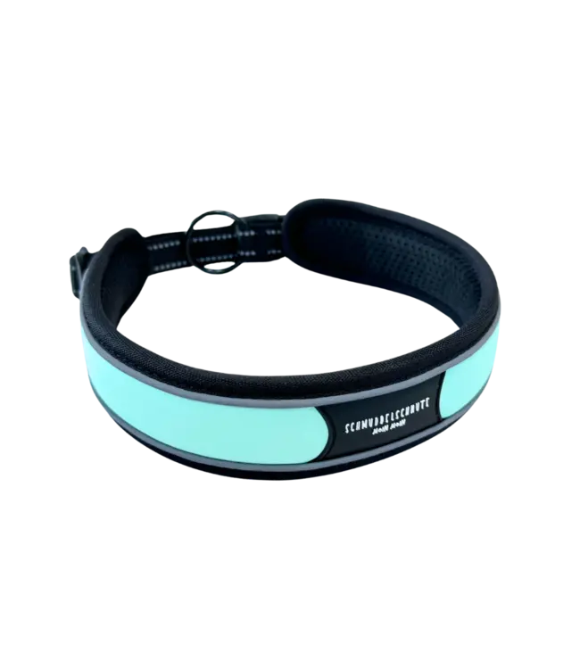 Schmuddelschnute - Hundehalsband Allwedda mint