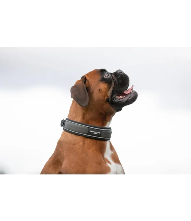 Schmuddelschnute - Hundehalsband Allwedda olive