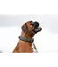 Schmuddelschnute - Hundehalsband Allwedda olive