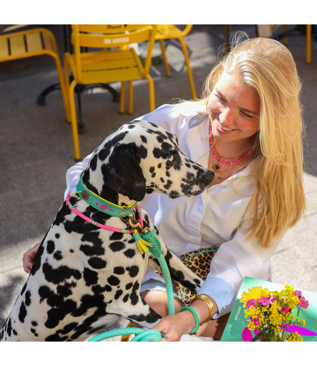 Dog with a Mission - Hippie Hundehalsband Chogogo