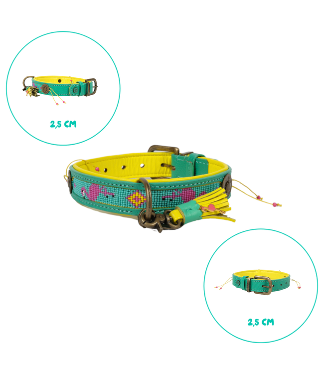 Dog with a Mission - Hippie Hundehalsband Chogogo