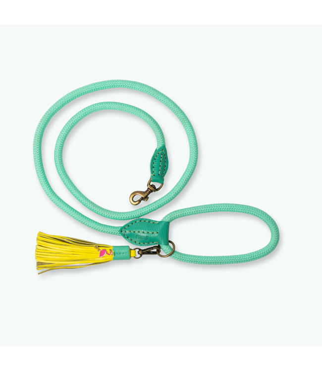 Dog with a Mission - Hundeleine Chogogo