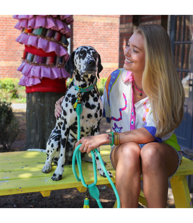 Dog with a Mission - Hundeleine Chogogo