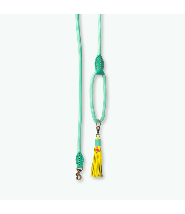 Dog with a Mission - Hundeleine Chogogo