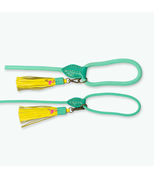 Dog with a Mission - Hundeleine Chogogo