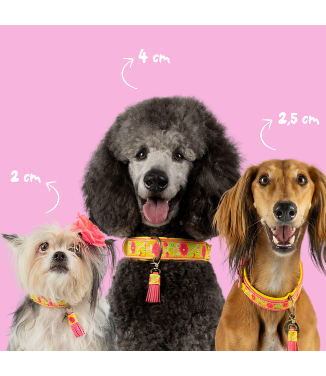 Dog with a Mission - Hippie Hundehalsband Lotus