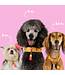 Dog with a Mission - Hippie Hundehalsband Lotus
