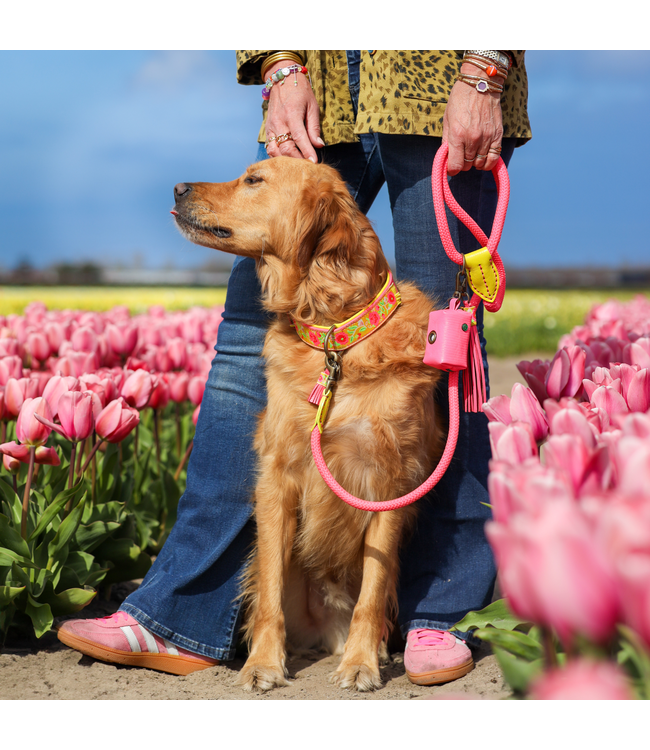 Dog with a Mission - Hundeleine Lotus